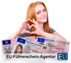 EU-Führerschein 2018 Informationen