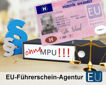 Beispiel für einen ungarischen Führerschein