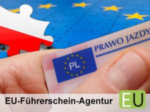 Fahrschule in Polen: Hand hält in Polen ausgestellten EU-Führerschein